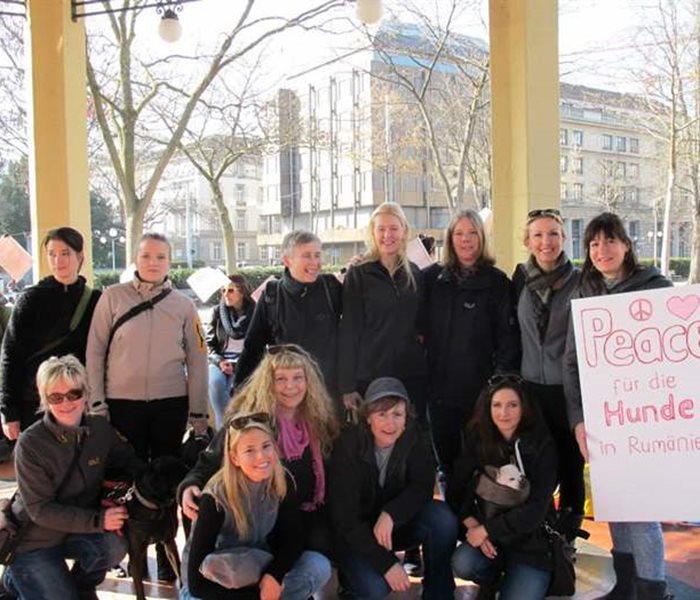 Protest gegen das Töten der Strassenhunde in Rumänien: Mahnwache