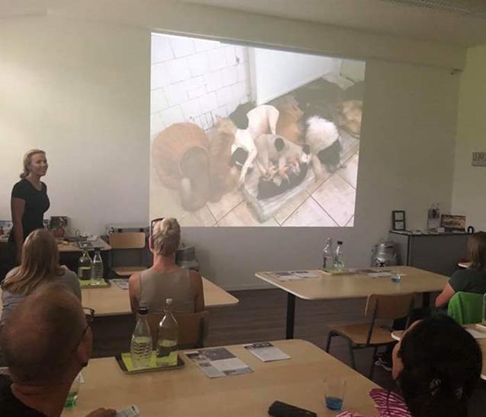 SUST-Vortrag an der Hunde-Akademie Schweiz