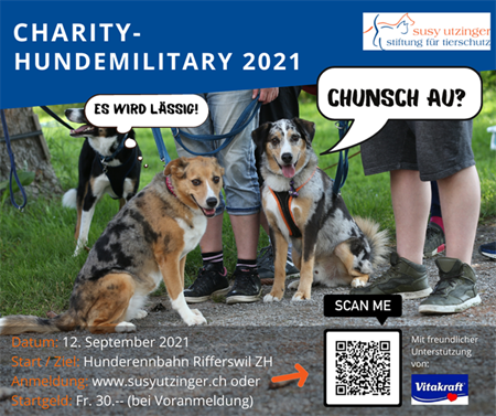 Charity Dog Military 2021