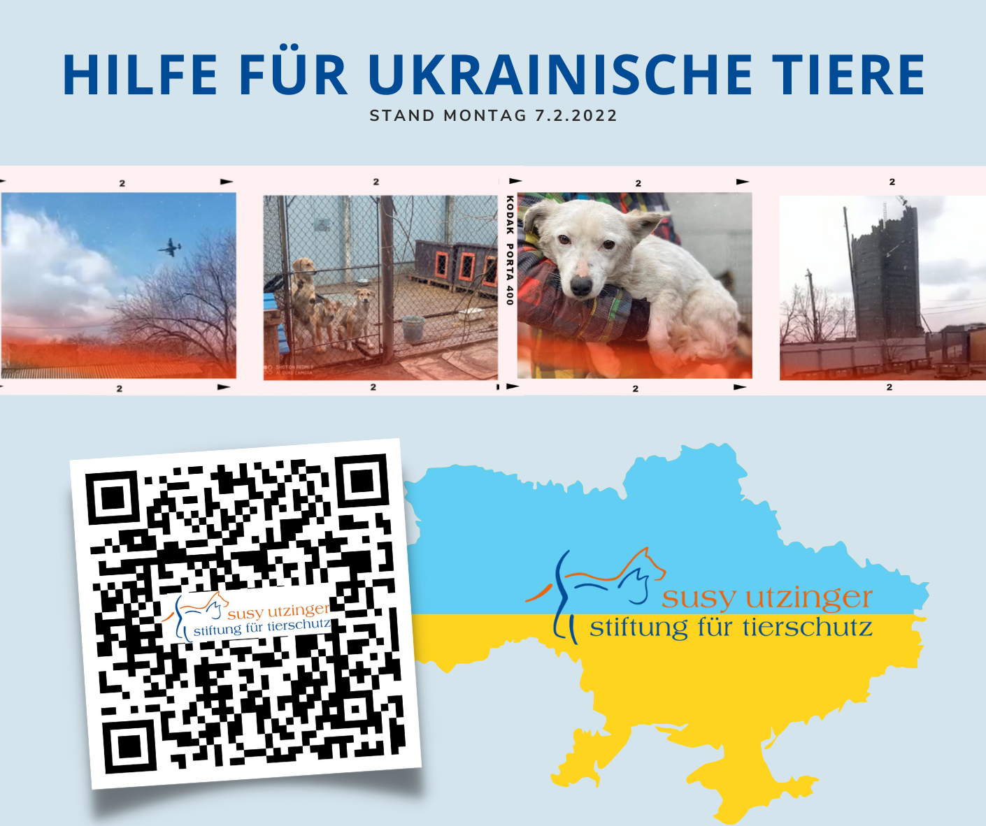 🇺🇦 Hilfe für ukrainische Tiere ❣️