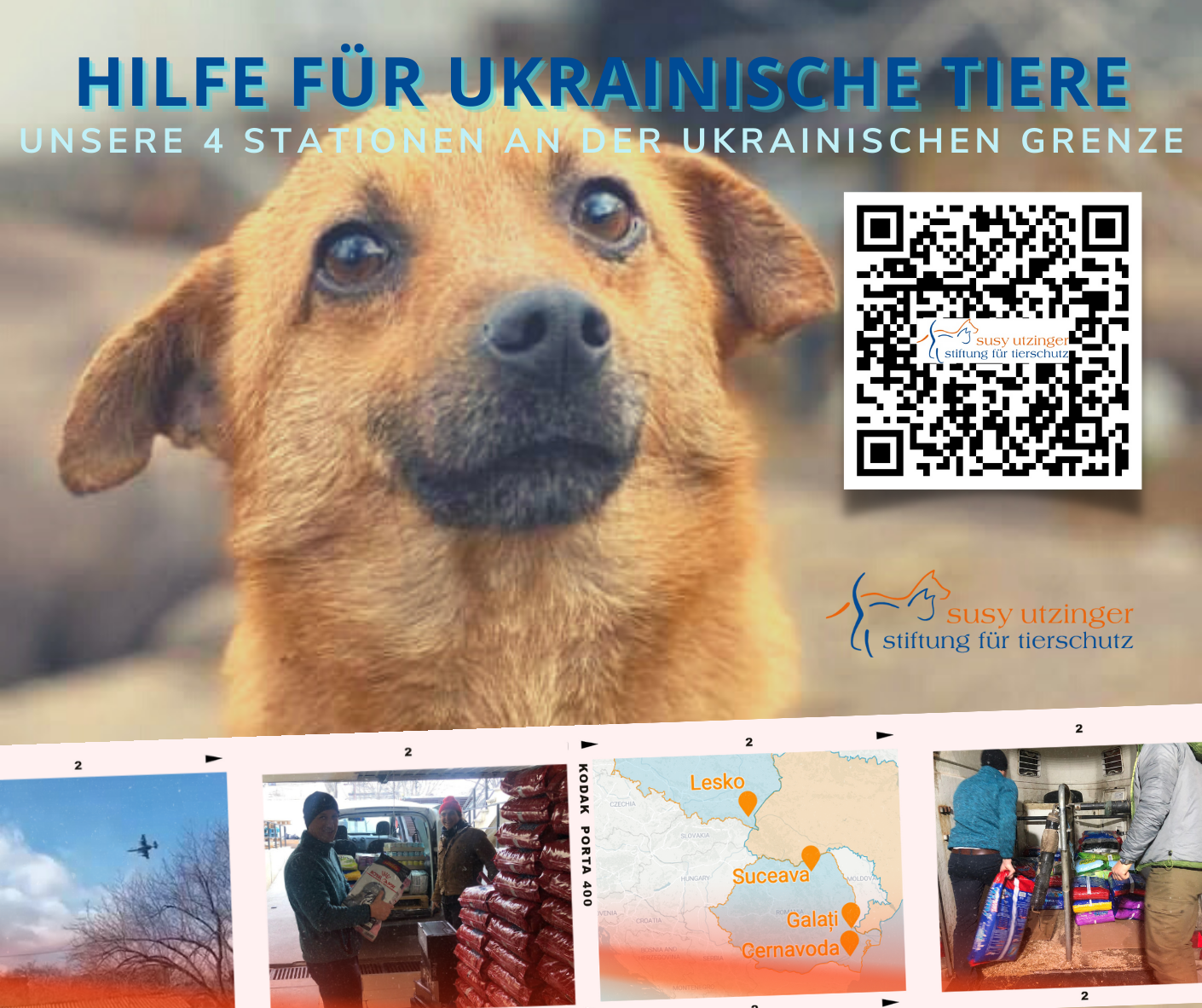 🇺🇦 Helpf for Ukrainian Animals ❣️
