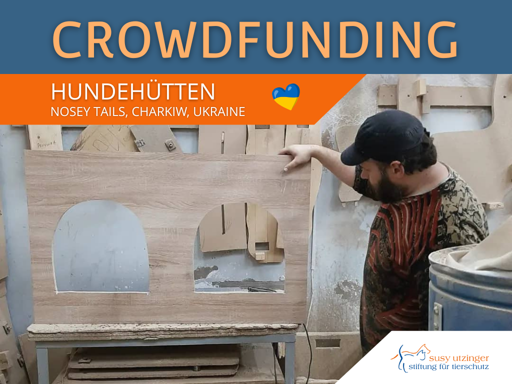 Crowdfunding: Hundehütten Nosey Tails, Charkiw (UI)