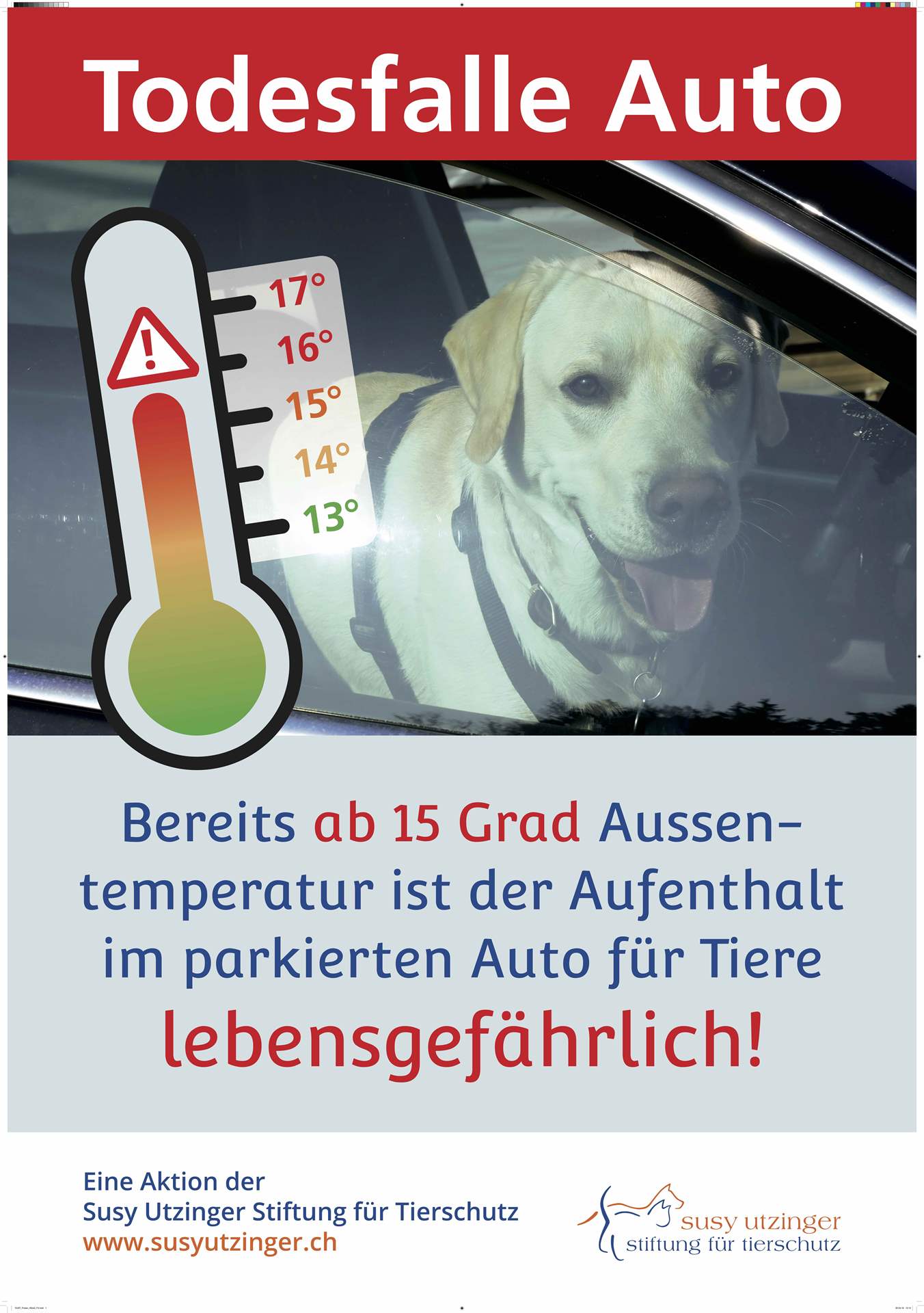 Todesfalle Auto – Ab 15 Grad Aussentemperatur wird es lebensgefährlich für Hunde in parkierten Autos