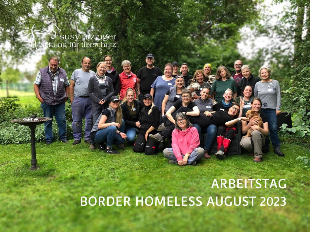 Impressionen vom SUST-Arbeitstag bei Border Homeless im Thurgau