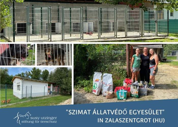 The new puppy station of the Szimat shelter in Hungary,