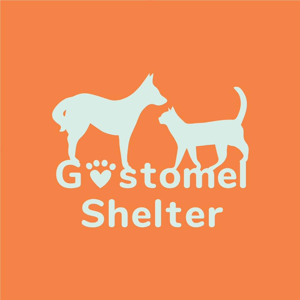 Gostomel Animal Shelter