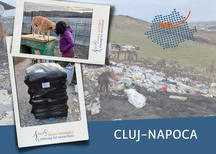 Livraison de nourriture pour notre organisation partenaire à Cluj-Napoca, Roumanie