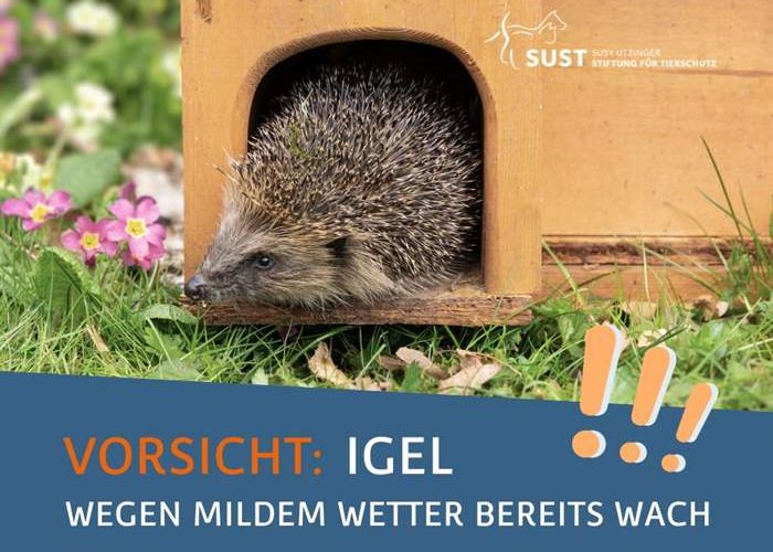 Achtung: Igel