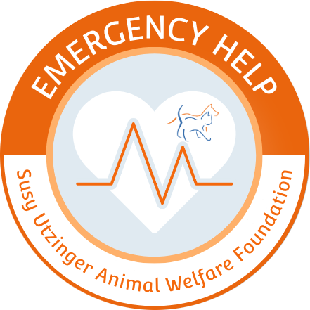Emergency aid as a base for sustainable animal welfare projects