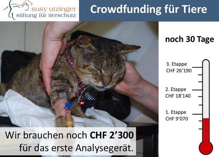 Crowdfunding - Tiere brauchen Ihre Hilfe!