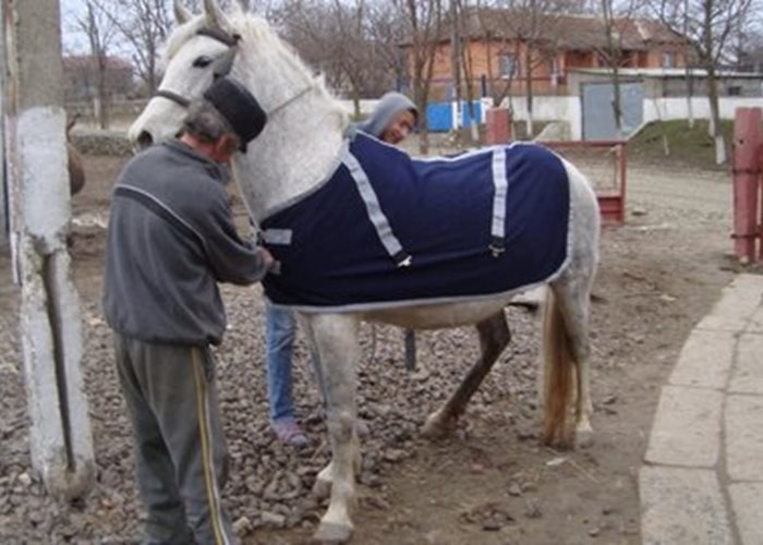 Ihre Hilfe kommt an: Materialspenden für Rumäniens Tiere