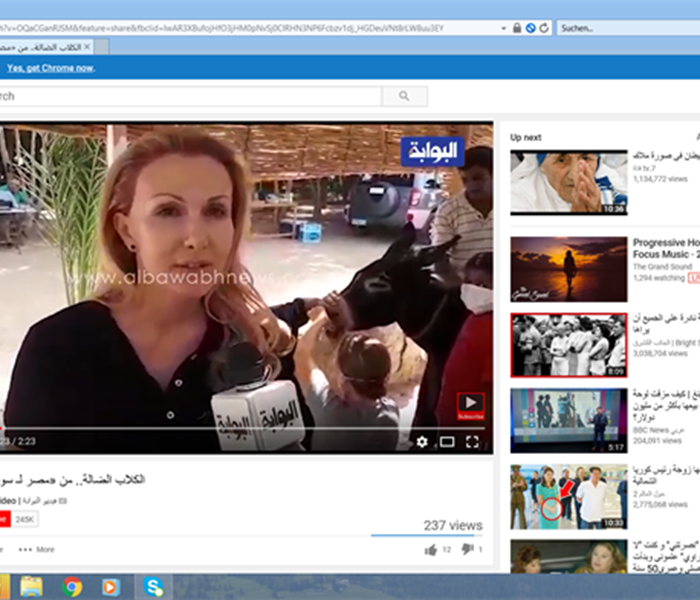 Albawabhne-TV Ägypten - Oktober 2018
