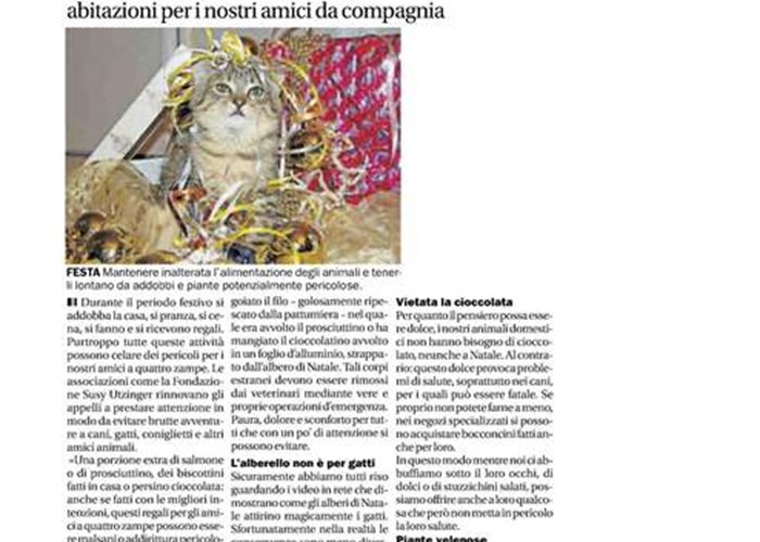 Corriere del Ticino - Dezember 2018