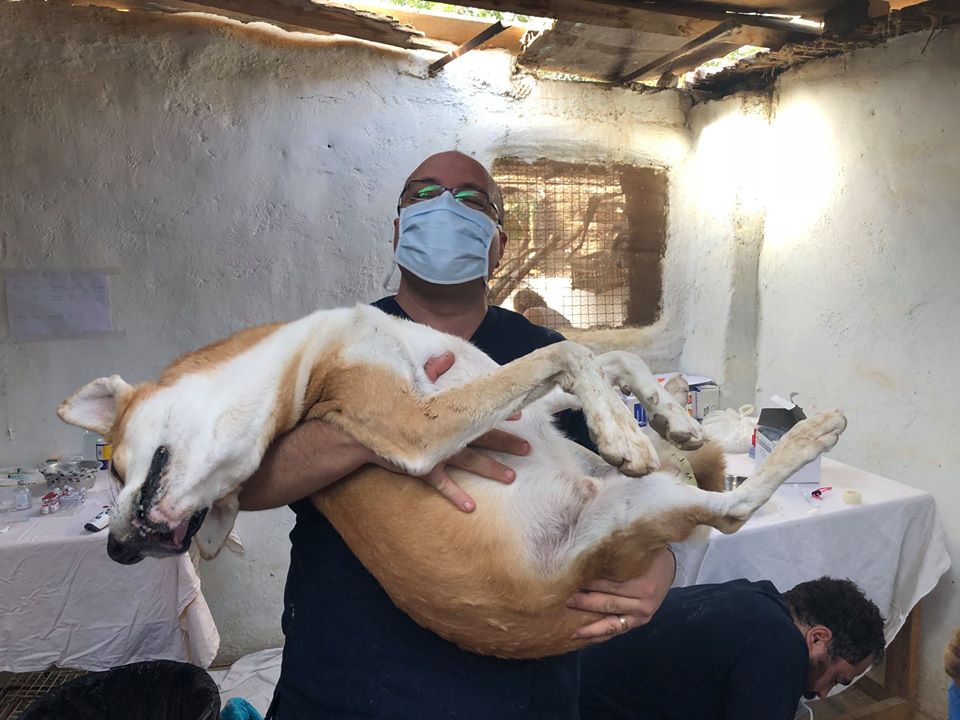 SUST-Tierwaisenhospital Hurghada, Ägypten:  Grusswort des Klinikleiters Dr. Essam Ageep