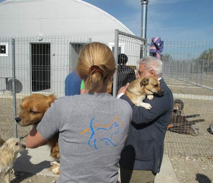 Hundeumzug ins neue Tierheim Help Labus in Galati, Rumänien