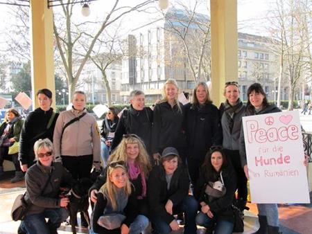 Protest gegen das Töten der Strassenhunde in Rumänien: Mahnwache