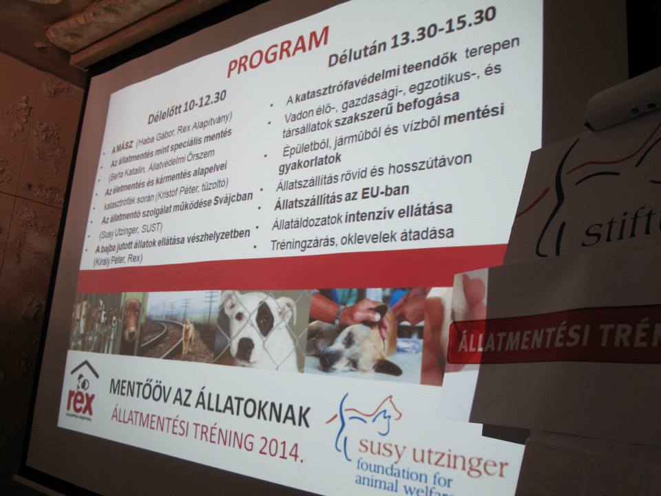 Katastrophen-/Handling-Training für TierschützerInnen in Ungarn