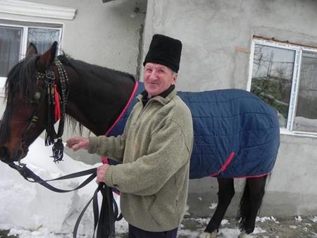 SUST-Hilfe für rumänische Arbeitspferde