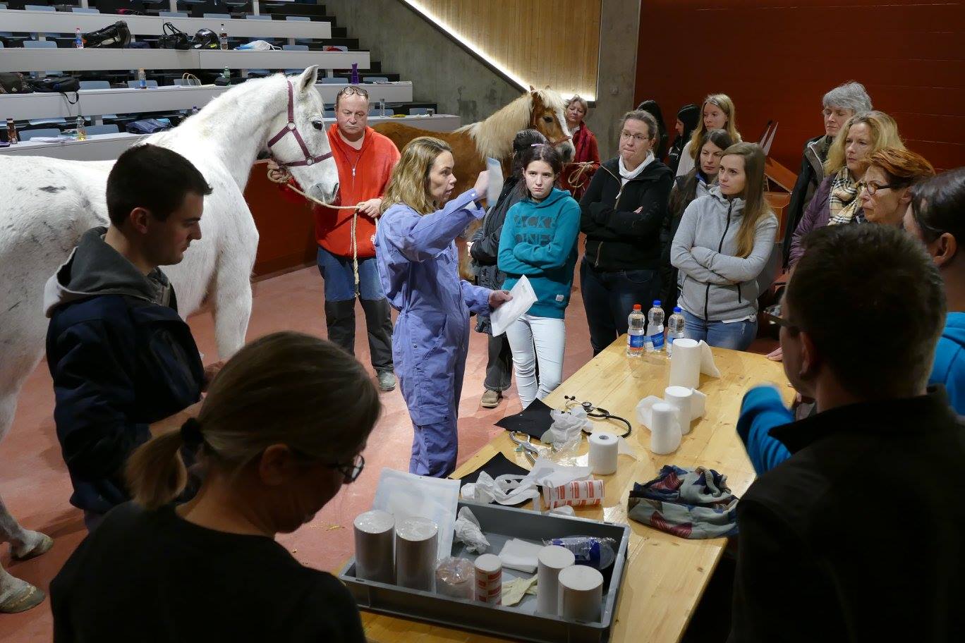 SUST-Akademie: Weiterbildung "Erste Hilfe am Pferd"
