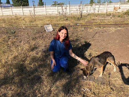 Besuch bei den Strassenhunde-Fütterungsstationen in Galati