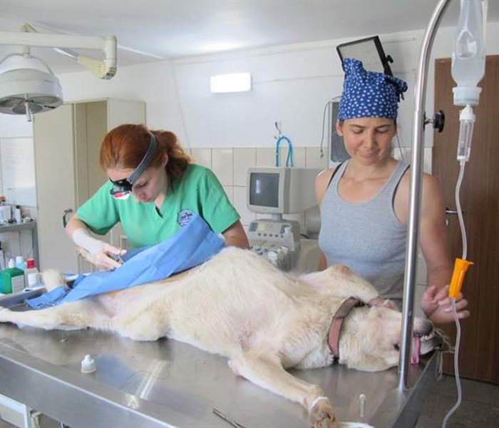 Wertvolle Kooperation für das SUST-Tierwaisen-Hospital