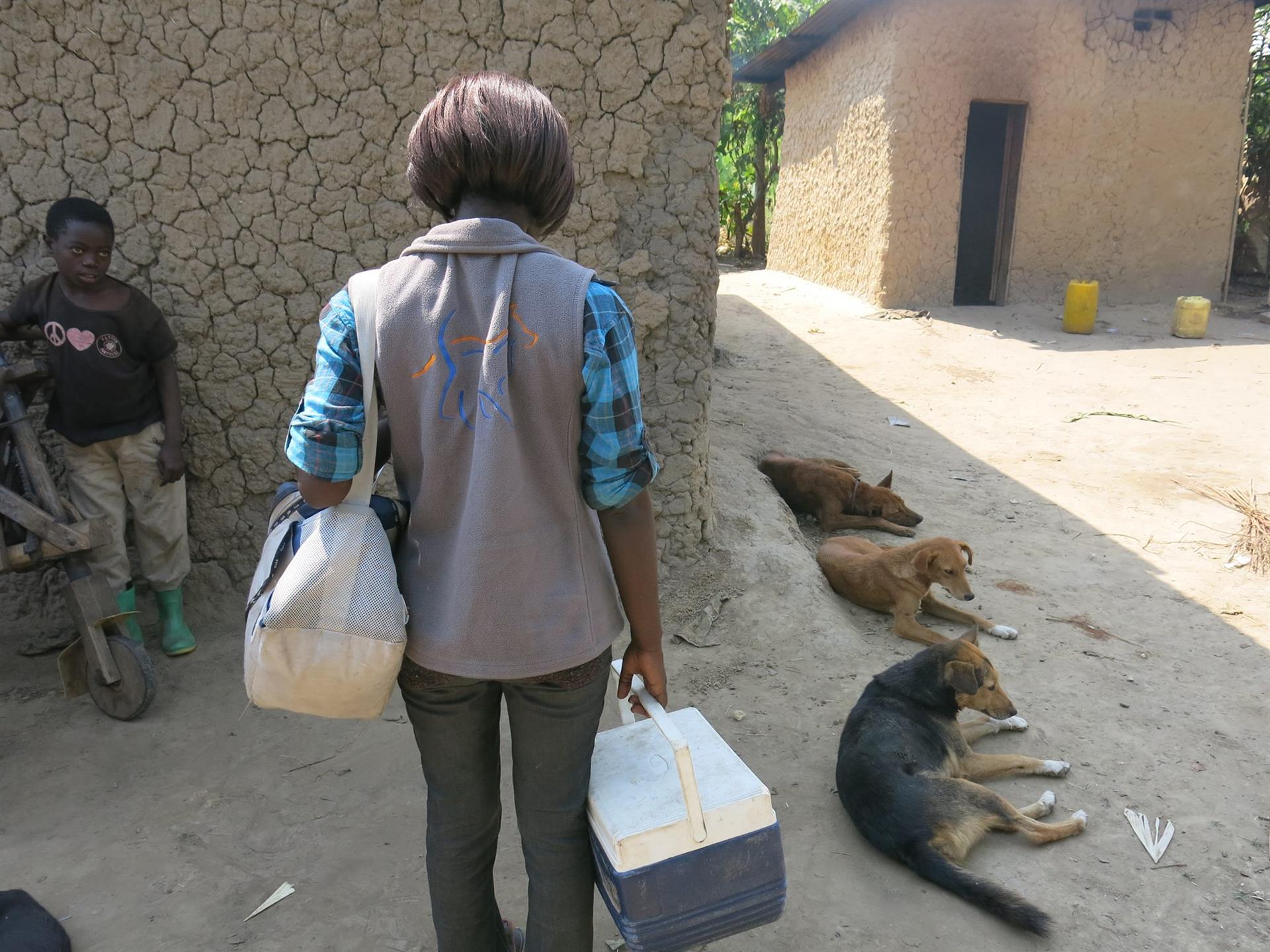 Rabies vaccination campaigns