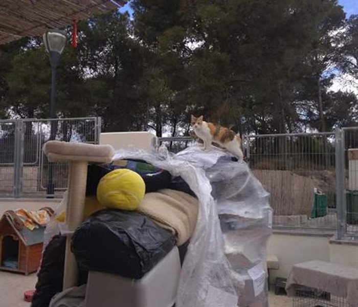 Ihre Spenden kommen an: Materiallieferung nach Spanien