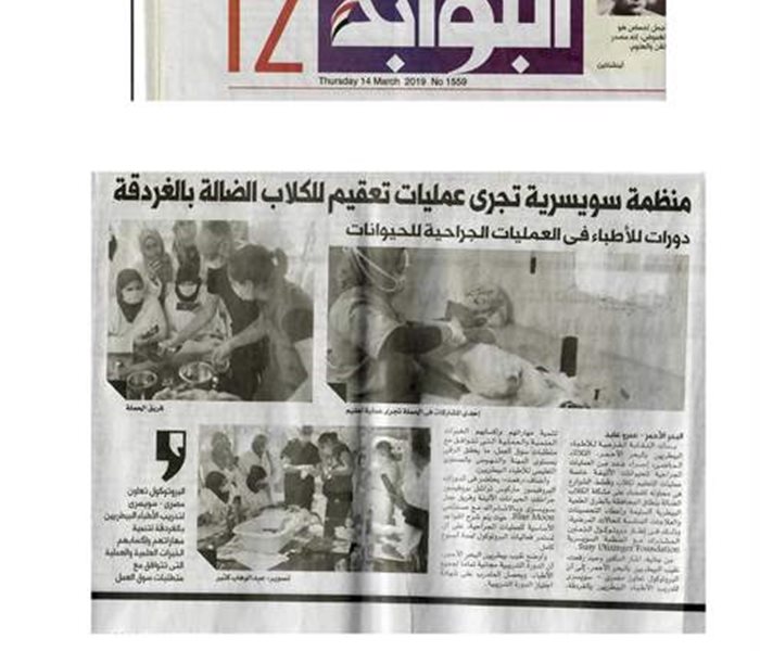 Ägyptische Tageszeitung - März 2019