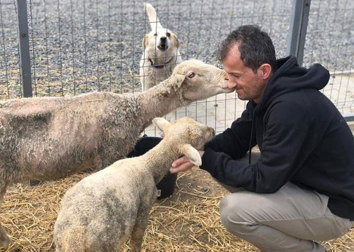 Tierarzt Bastea Ioan Daniel besucht seine ehemaligen Patienten
