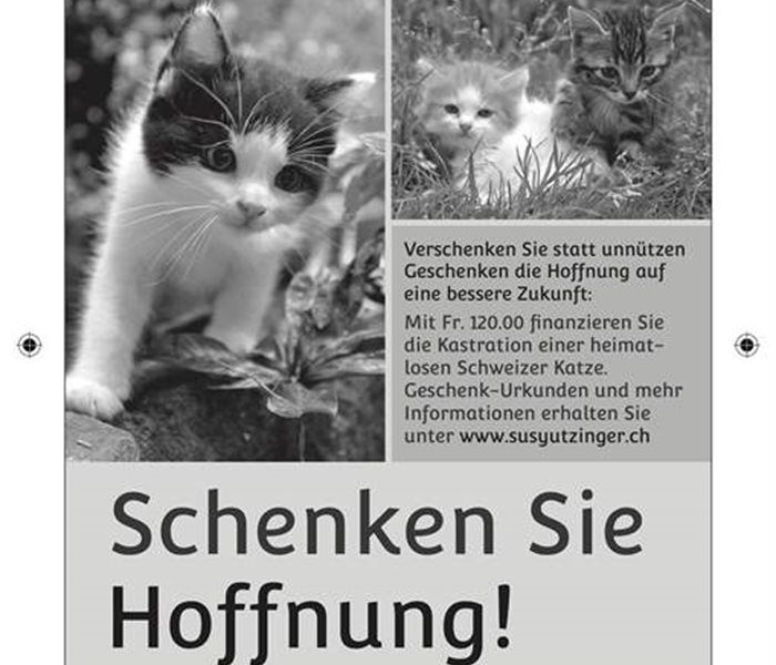 Schenken Sie Hoffnung - Katzen Schweiz 105x148 sw