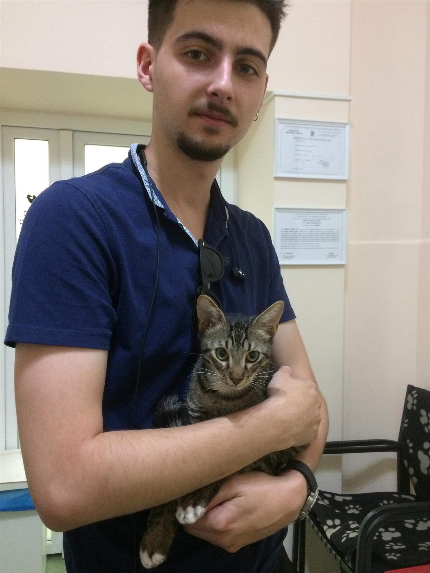 Tägliche Arbeit im SUST-Tierwaisen Hospital Bukarest