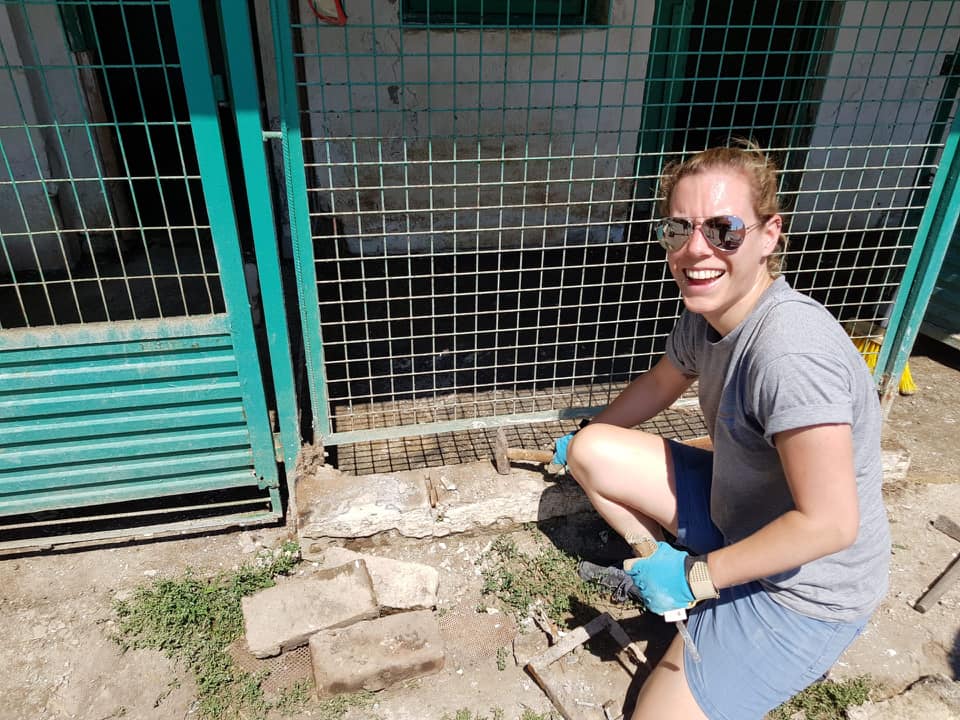 Die Renovation der Welpenstation im Tierheim Misina, Ungarn, geht in grossen Schritten vorwärts