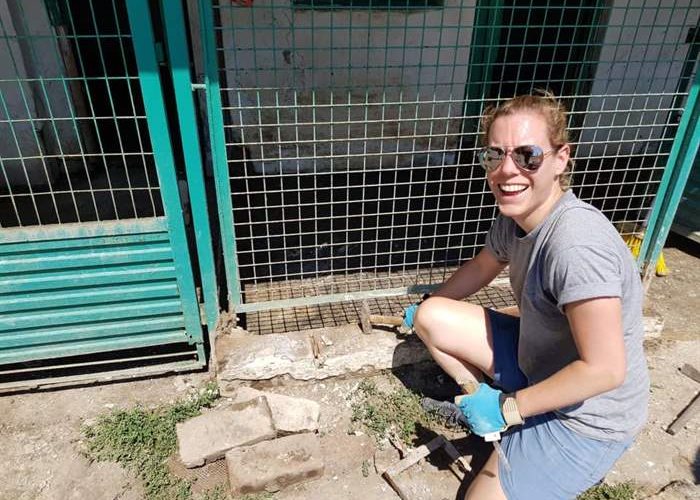 Die Renovation der Welpenstation im Tierheim Misina, Ungarn, geht in grossen Schritten vorwärts