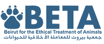 BETA Lebanon