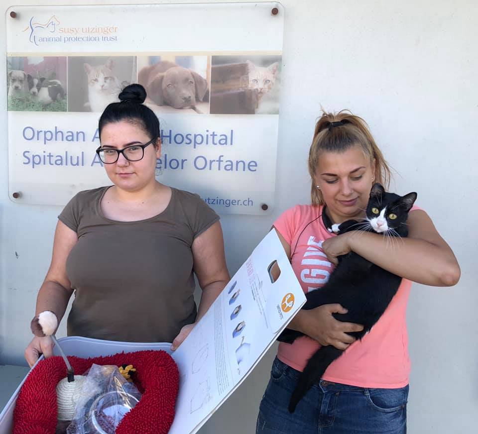 The miracles of the SUST Animal Orphans Hospital Galaţi