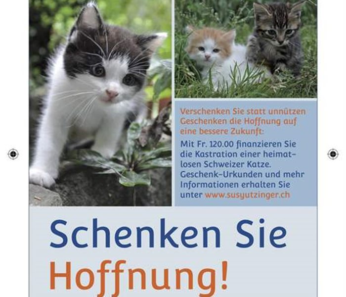 Schenken Sie Hoffnung - Katzen Schweiz 105x148