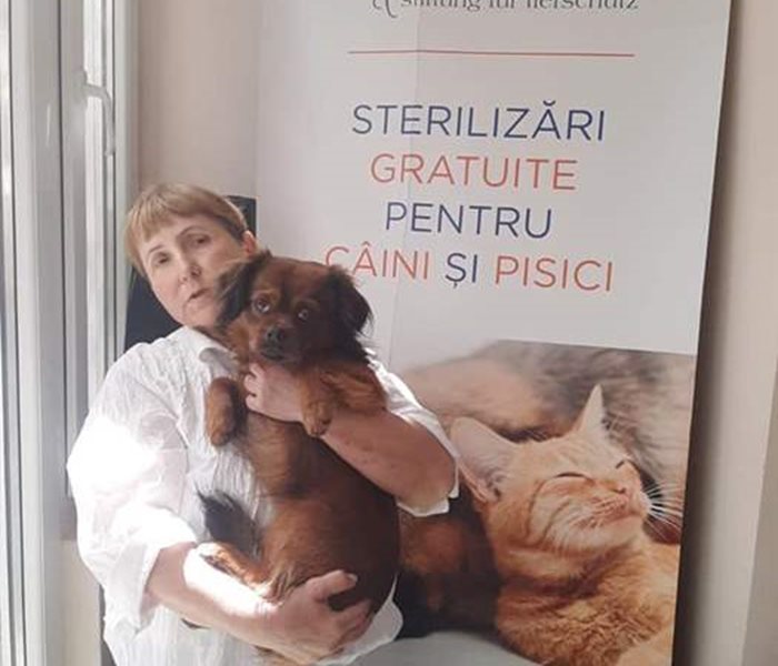 Valentina Ichim, eine sehr engagierte Tierschützerin