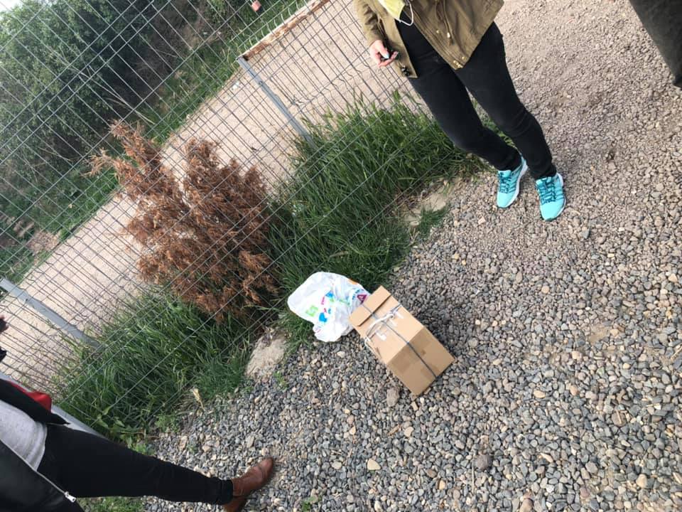 Ein Paket das sich bewegt, für das SUST-Tierwaisenhospital Team in Galati, Rumänien