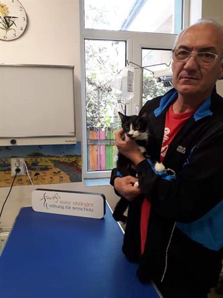 Das SUST-Tierwaisen-Hospital in Bukarest hilft älteren Tieren, ihre letzten Lebensjahre so angenehm wie möglich zu verbringen