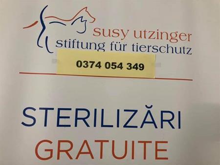 In the SUST Orphan Animal Hospital Galati (Romania) we perform castrations on an ongoing basis