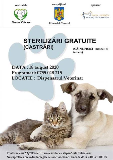 Castration campaign week in Rumänien