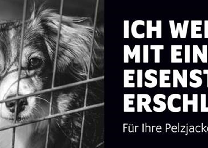 NOW: Stop fur!
