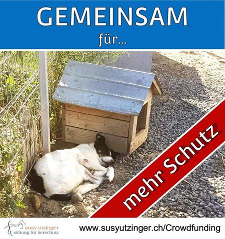 Crowdfunding for the SUST Shelter in Galati, Romania