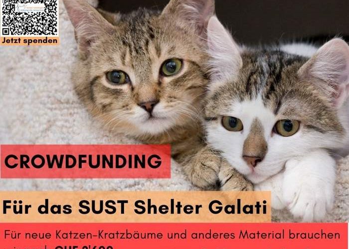 Crowdfunding für das SUST-Shelter in Galati, Rumänien