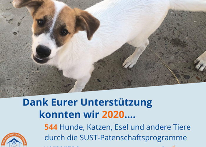 Das SUST-Tierschutzjahr 2020 - Eure Spenden kommen an...!