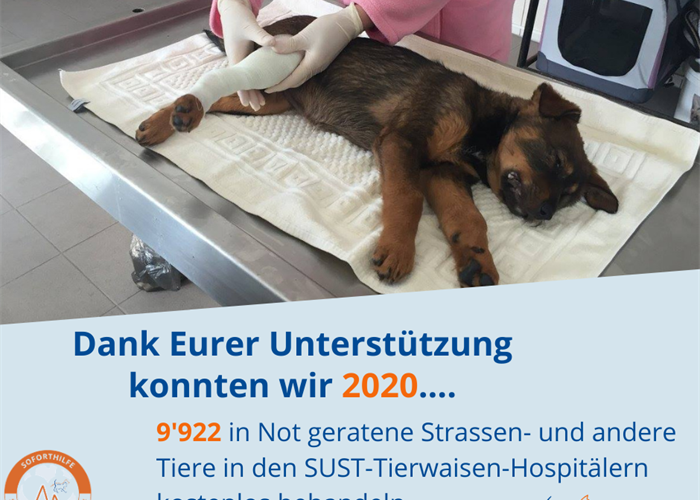 Das SUST-Tierschutzjahr 2020 - Eure Spenden kommen an!