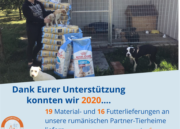 Das SUST-Tierschutzjahr 2020 -  Eure Spenden kommen an!