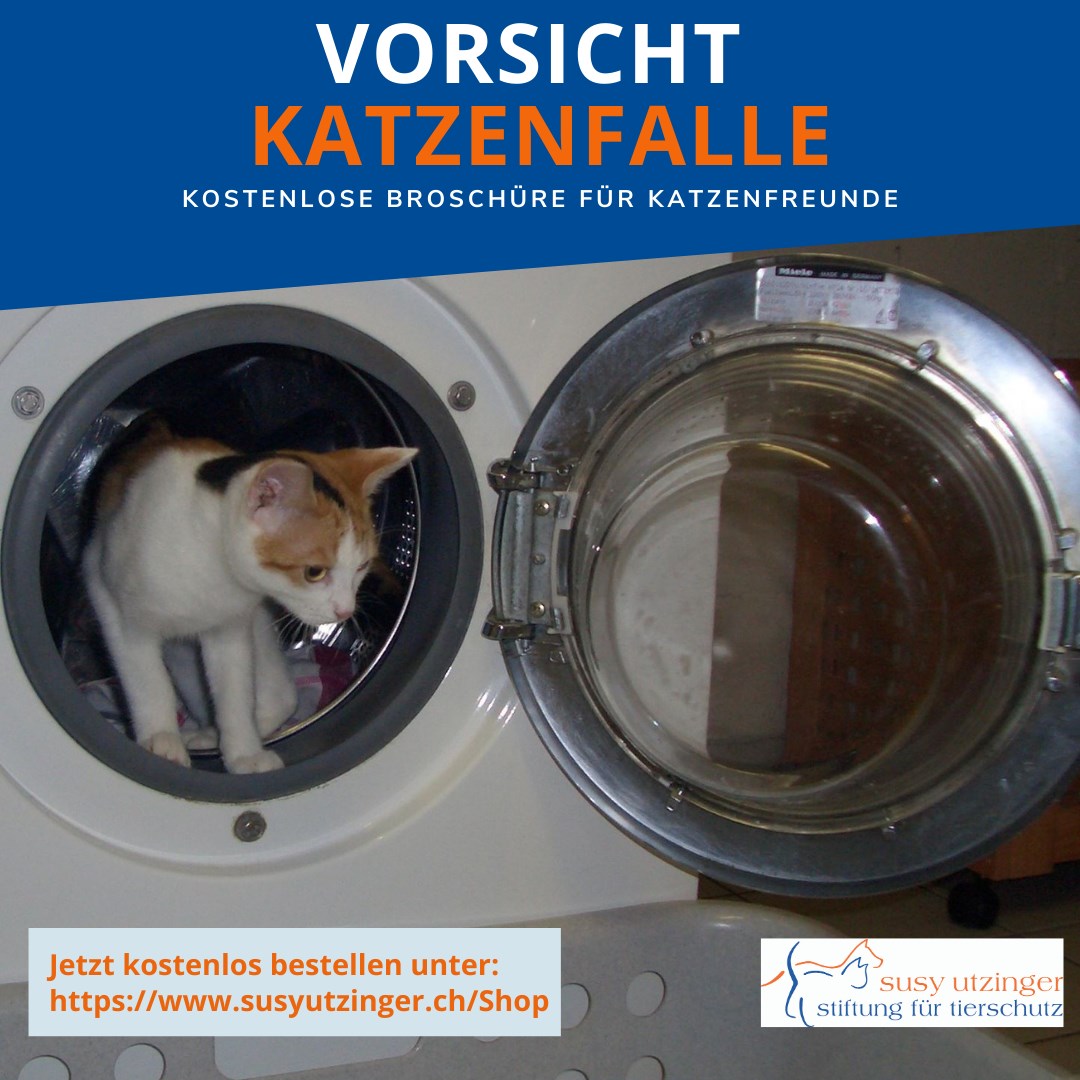 Vorsicht Katzenfalle - Kostenlose Broschüre für Katzenfreunde