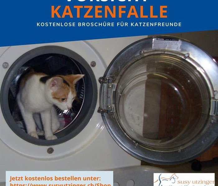 Vorsicht Katzenfalle - Kostenlose Broschüre für Katzenfreunde
