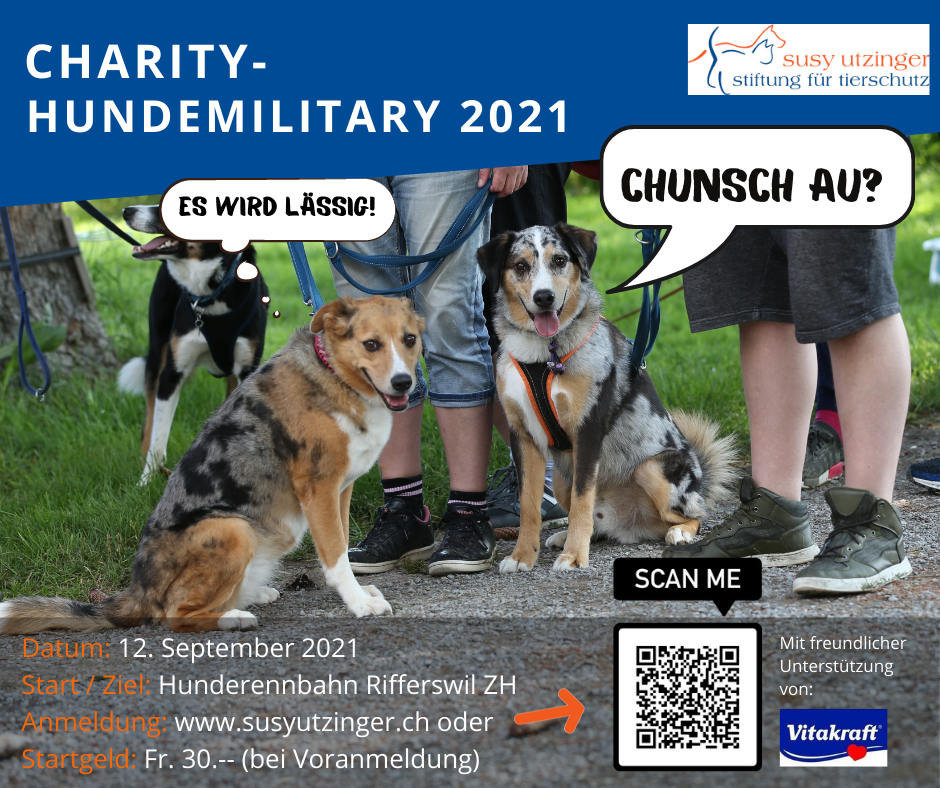 Charity-Hundemilitary 2021